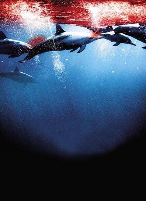 “天然铀第一股”开门红，中国铀业首日涨超280%